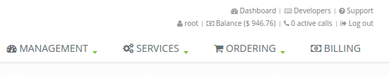 Screenshot of how balance appears Screenshot of Balance